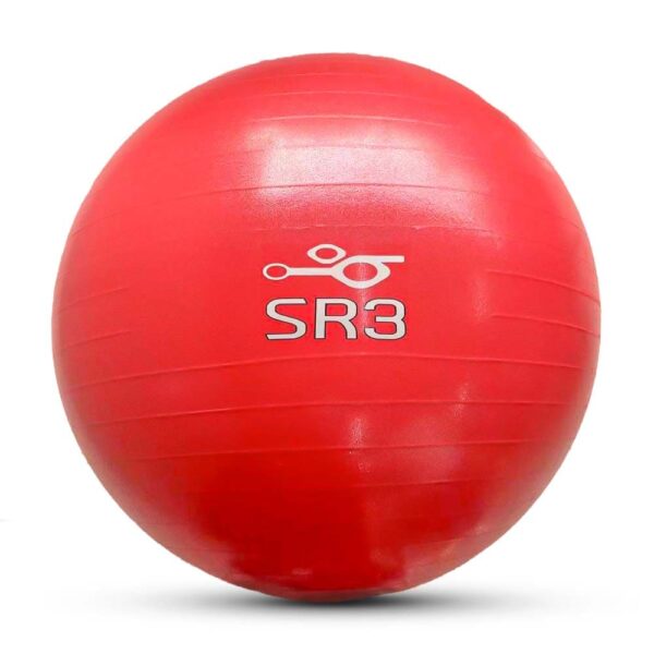Bola Pilates 55cm